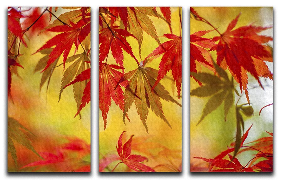 Leaf Patterns 3 Split Panel Canvas Print - Canvas Art Rocks - 1