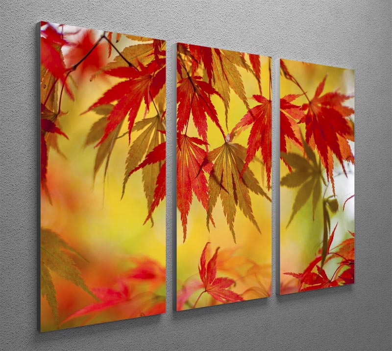Leaf Patterns 3 Split Panel Canvas Print - Canvas Art Rocks - 2