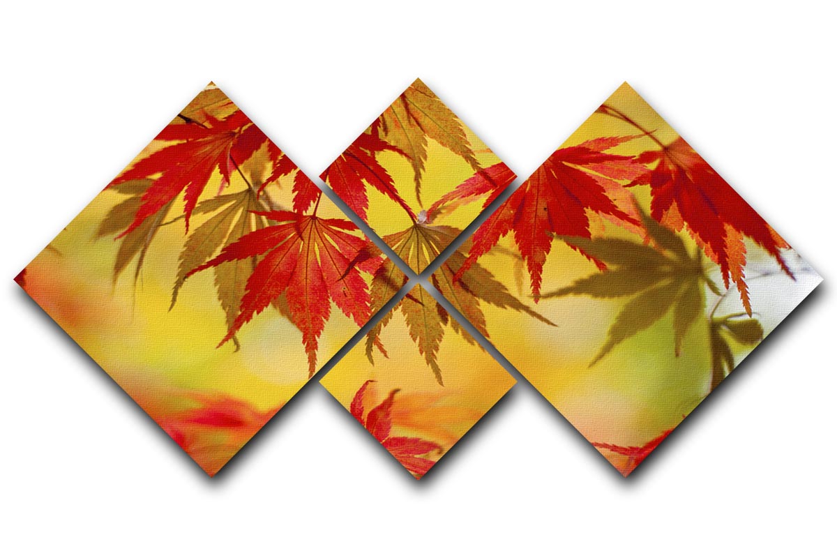Leaf Patterns 4 Square Multi Panel Canvas - Canvas Art Rocks - 1