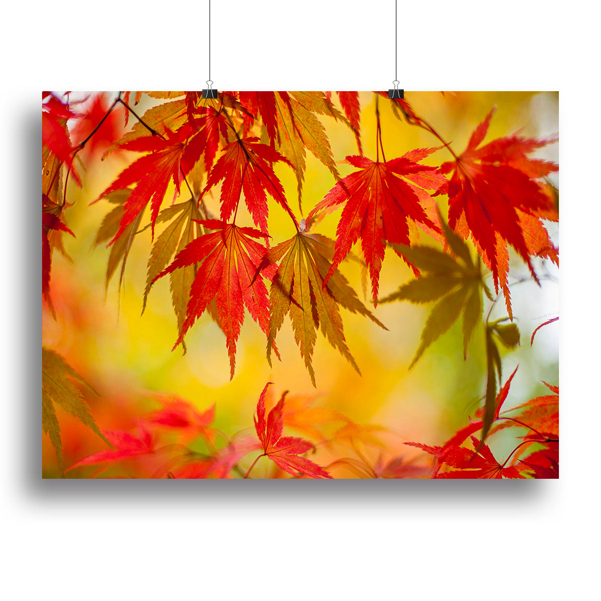 Leaf Patterns Canvas Print or Poster - Canvas Art Rocks - 2