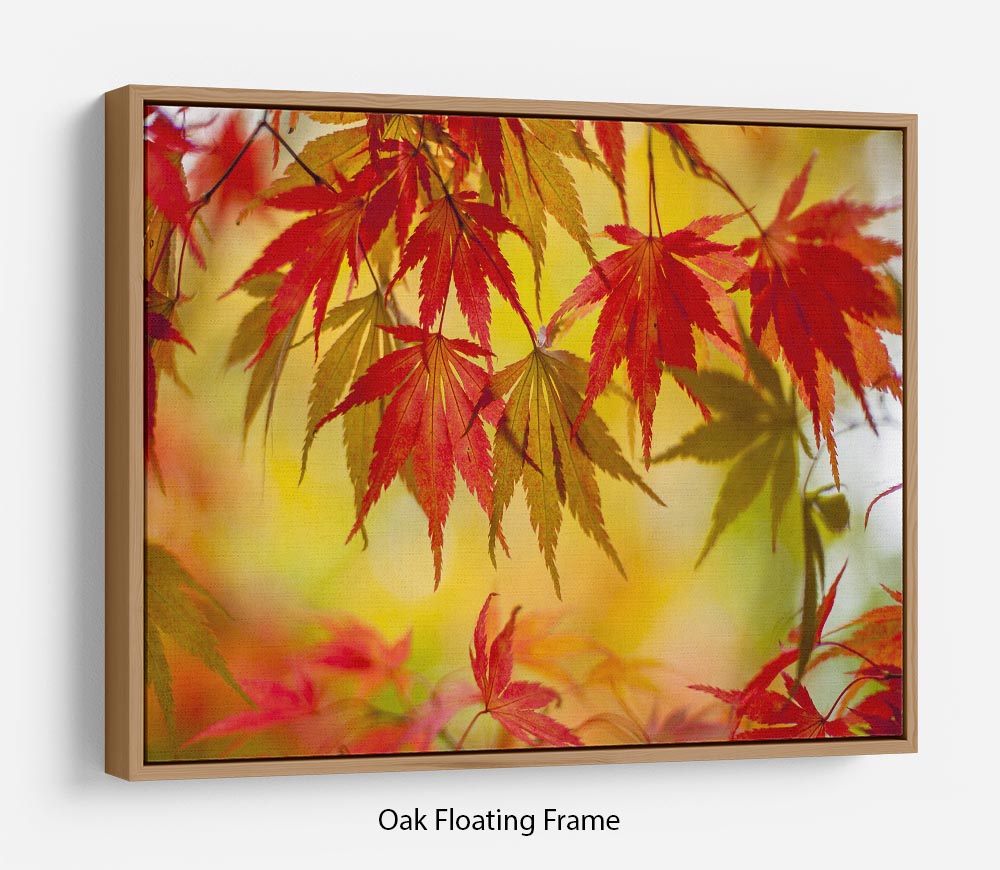 Leaf Patterns Floating Frame Canvas - Canvas Art Rocks - 9