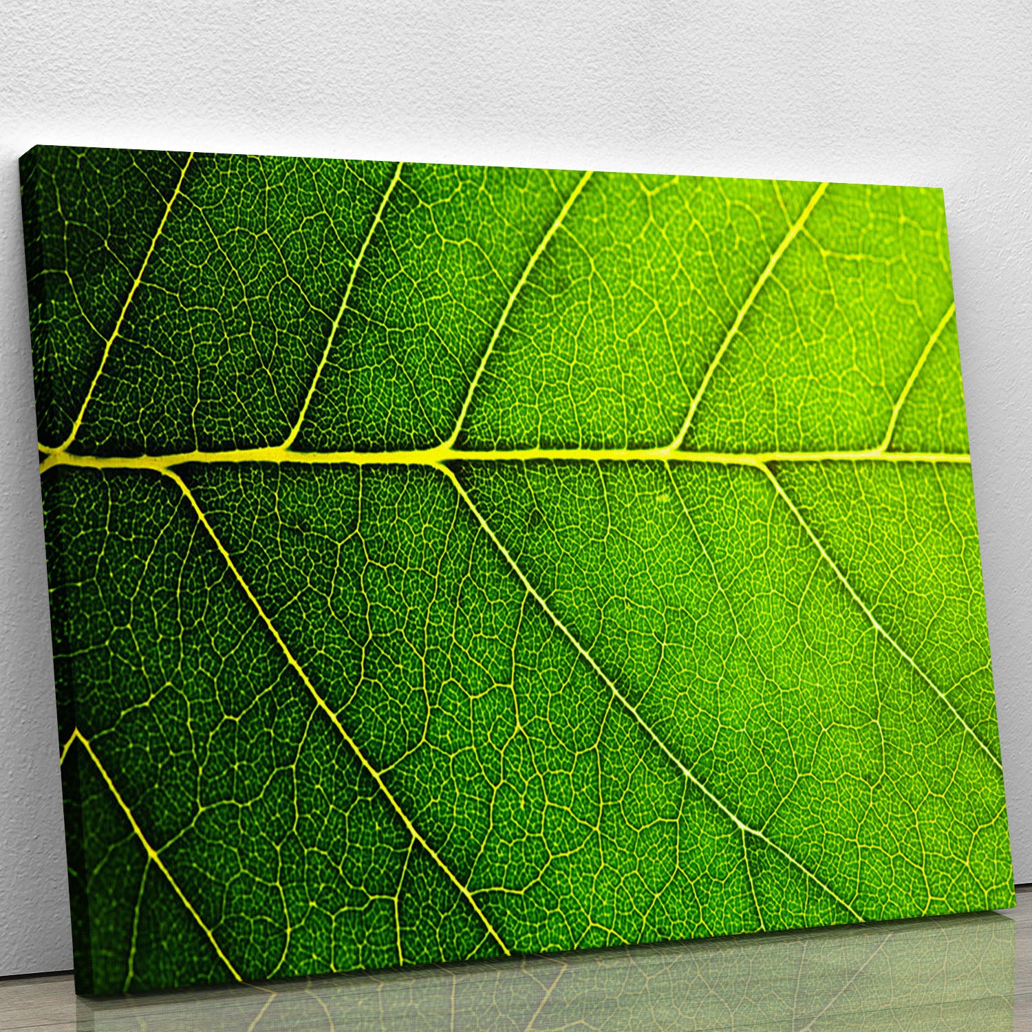 Leaf macro shot Canvas Print or Poster - Canvas Art Rocks - 1