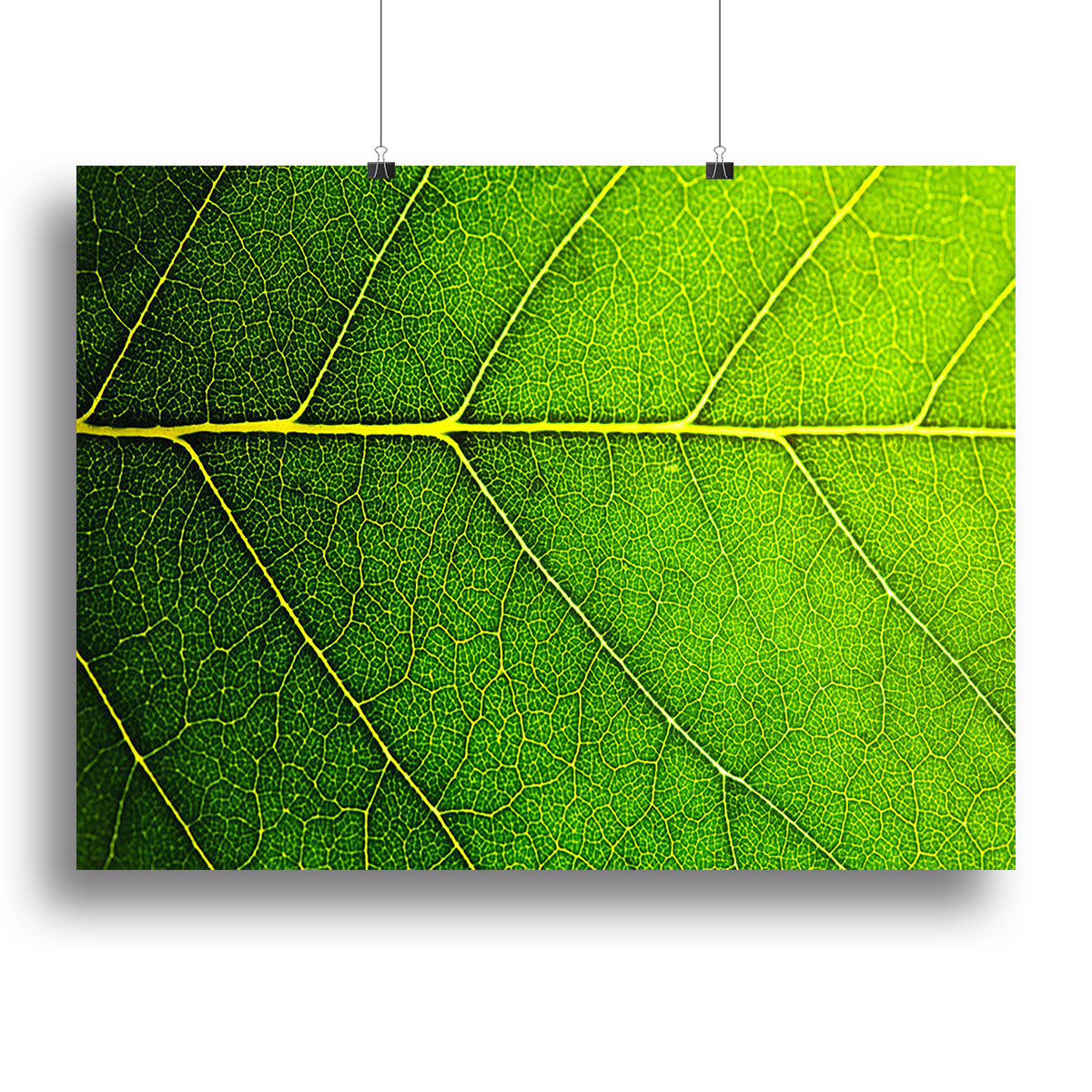 Leaf macro shot Canvas Print or Poster - Canvas Art Rocks - 2