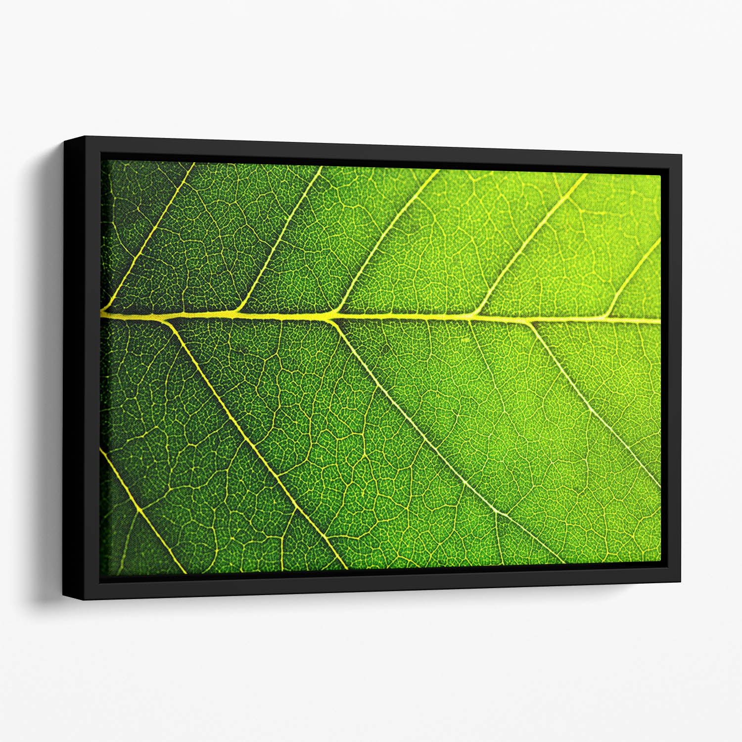 Leaf macro shot Floating Framed Canvas