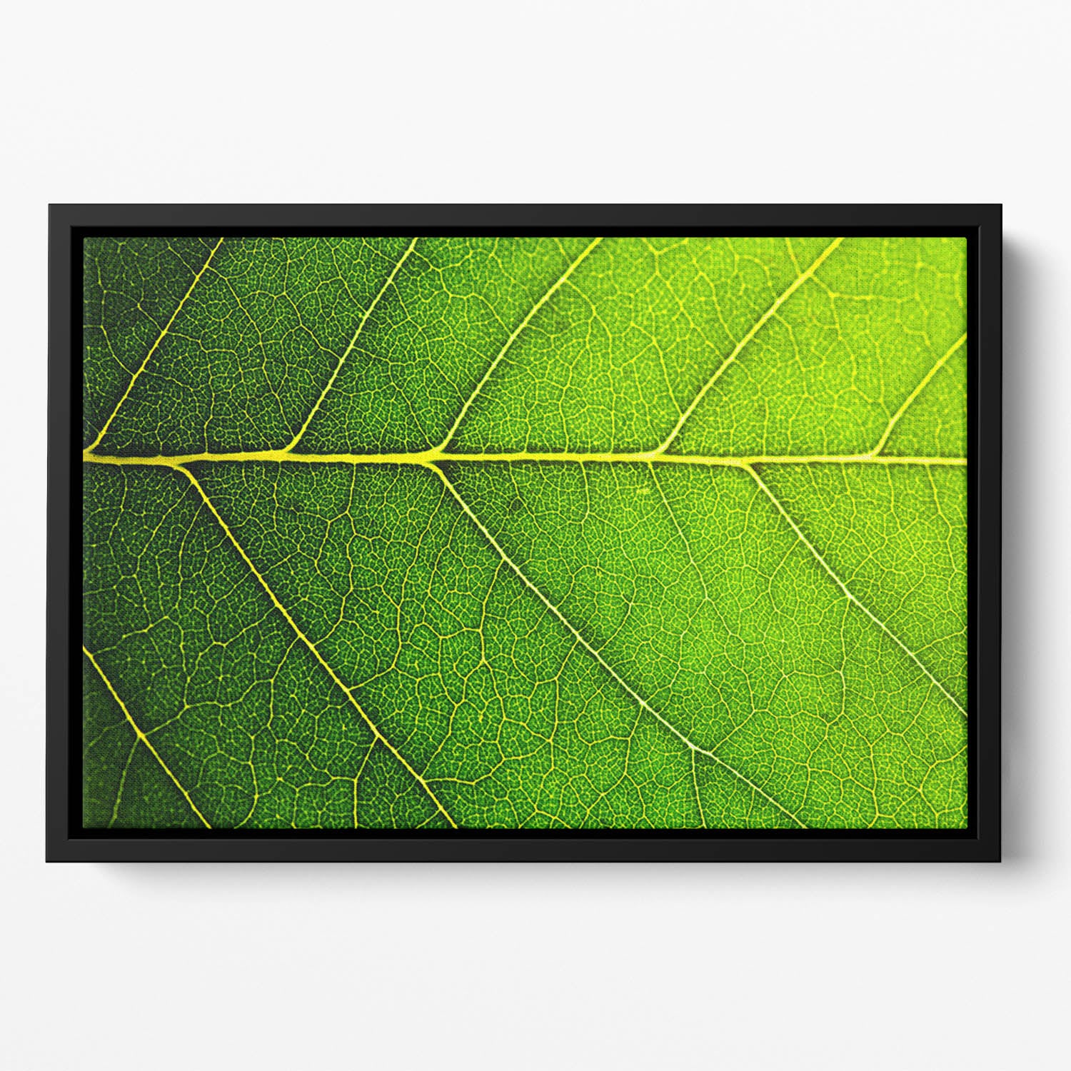 Leaf macro shot Floating Framed Canvas