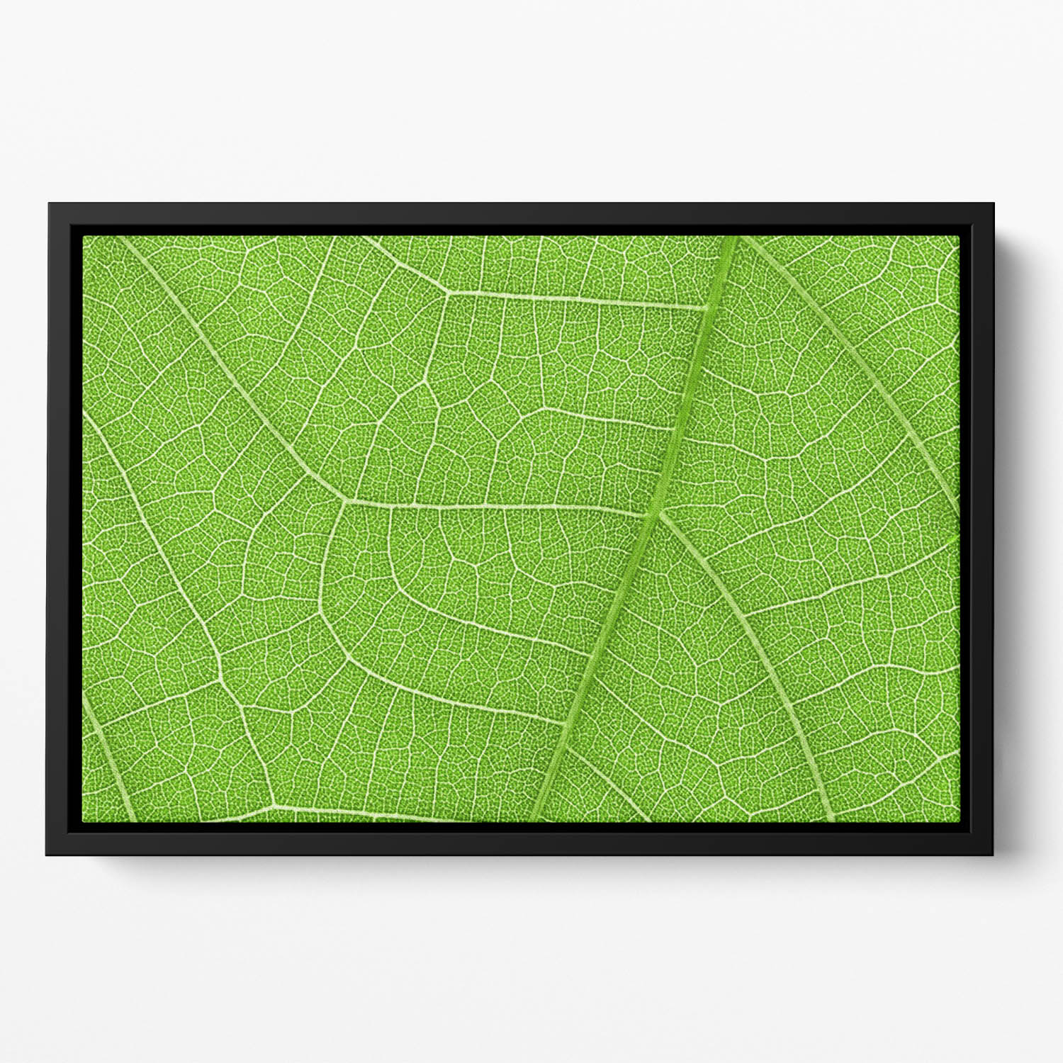 Leaf texture Floating Framed Canvas