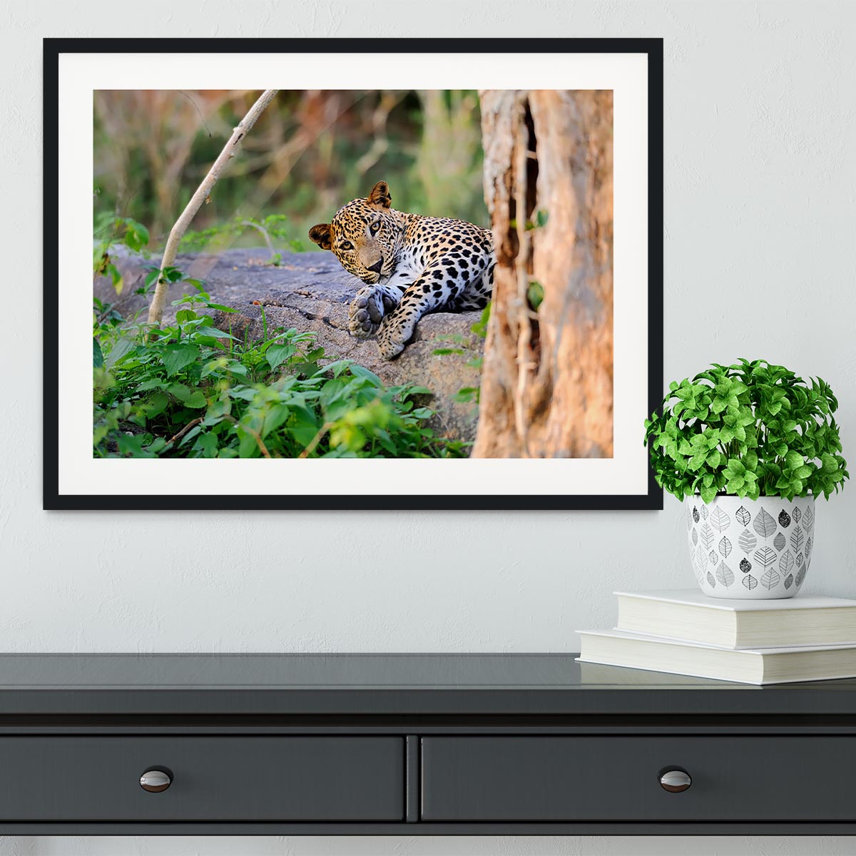 Leopard in the wild Framed Print - Canvas Art Rocks - 1