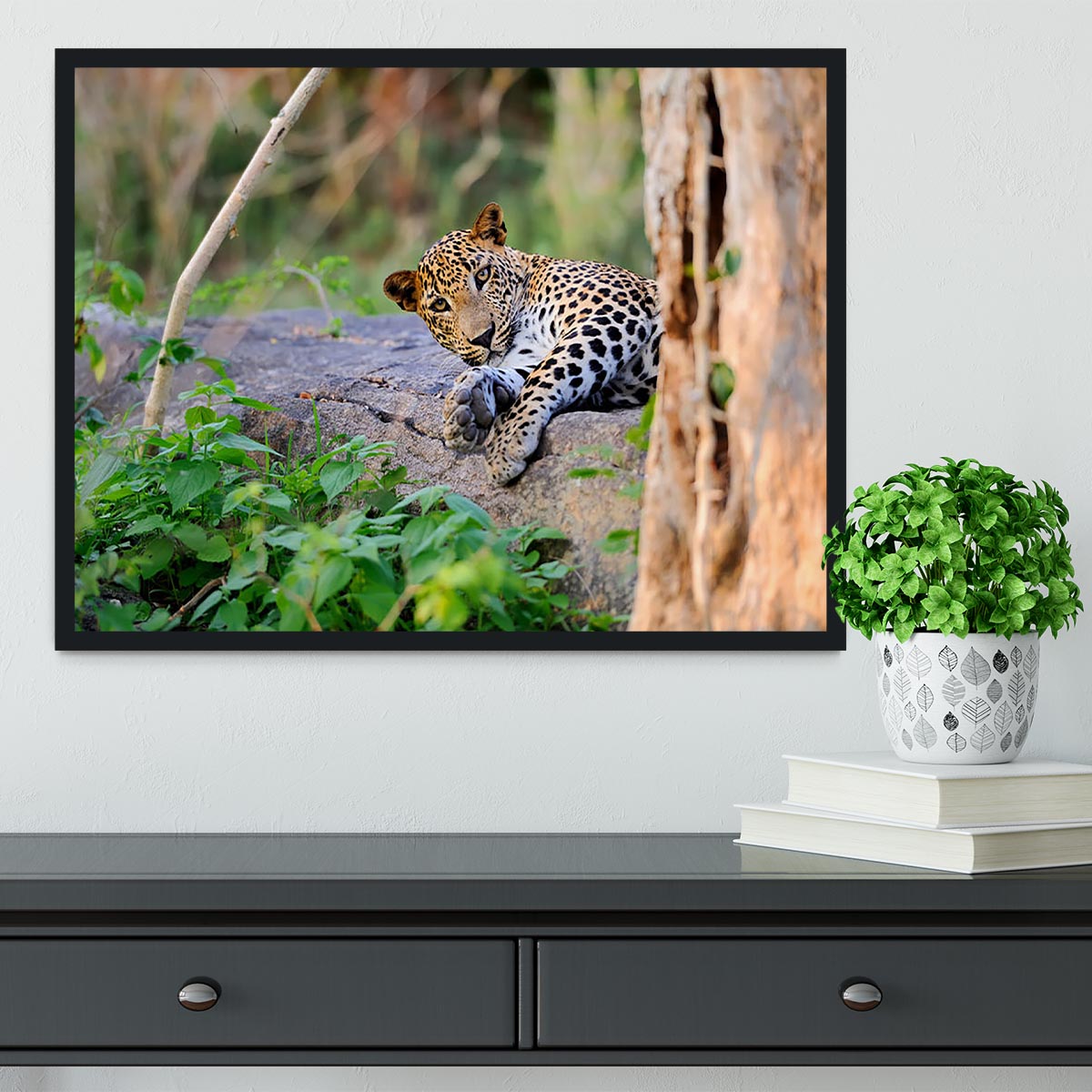 Leopard in the wild Framed Print - Canvas Art Rocks - 2