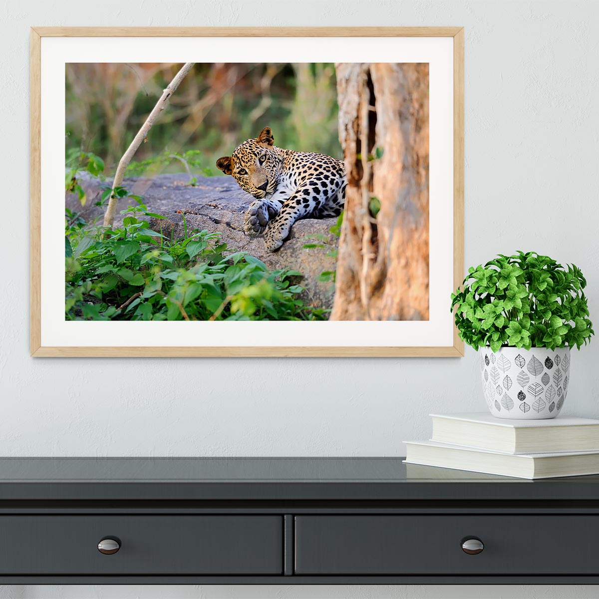 Leopard in the wild Framed Print - Canvas Art Rocks - 3