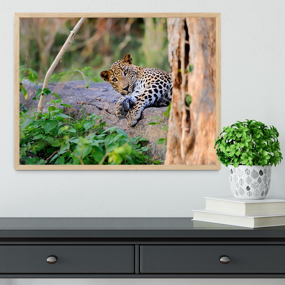Leopard in the wild Framed Print - Canvas Art Rocks - 4