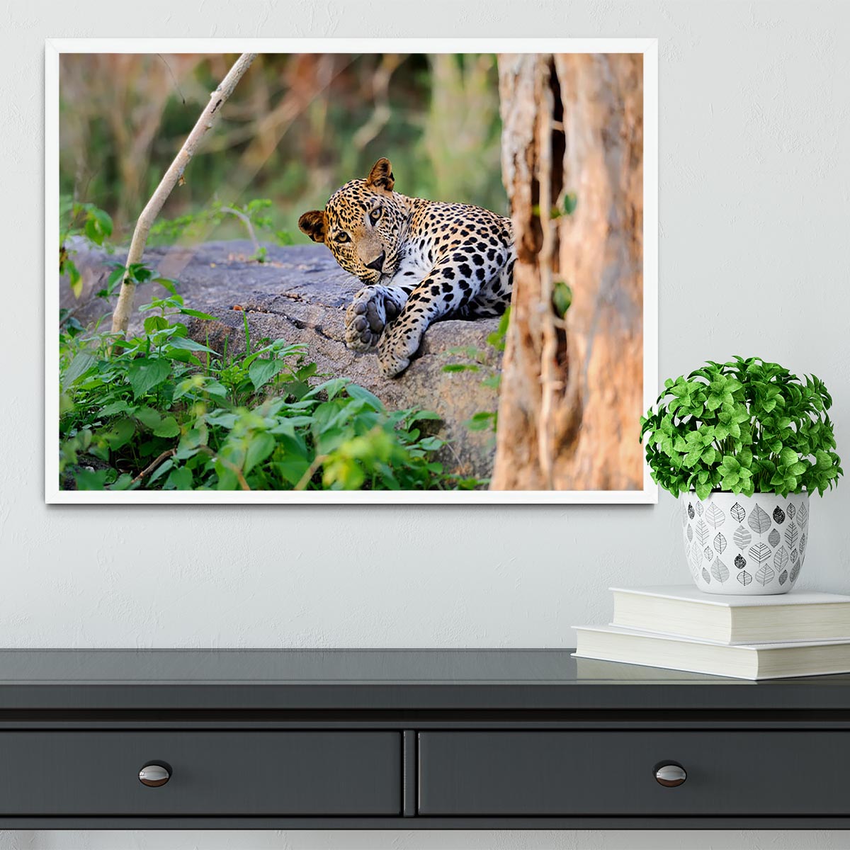 Leopard in the wild Framed Print - Canvas Art Rocks -6