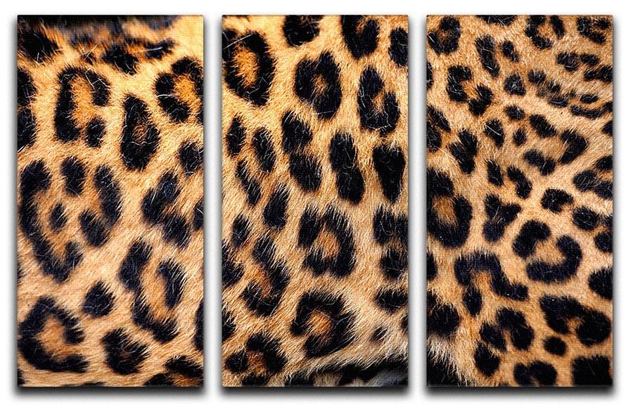 Leopard skin texture 3 Split Panel Canvas Print - Canvas Art Rocks - 1