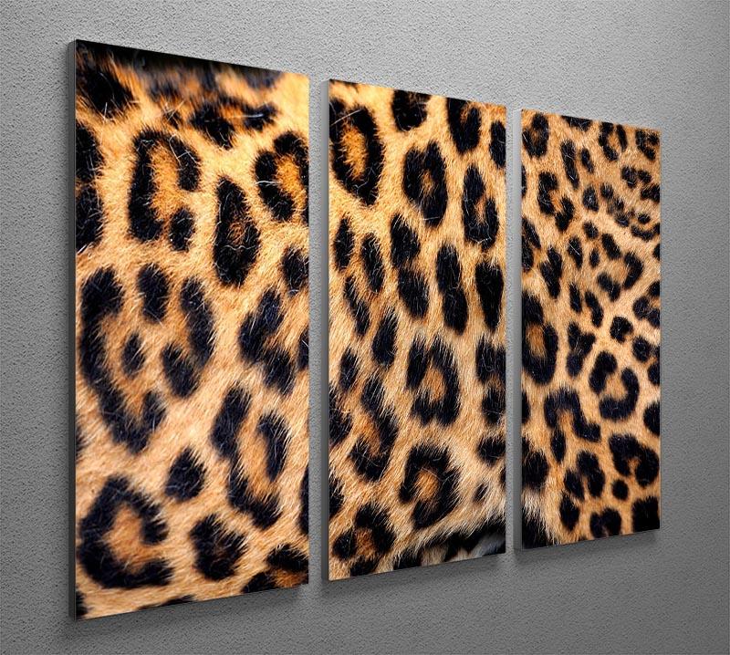 Leopard skin texture 3 Split Panel Canvas Print - Canvas Art Rocks - 2