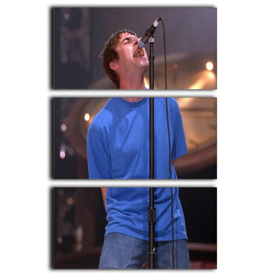 Liam Gallagher singing 3 Split Panel Canvas Print - Canvas Art Rocks - 1