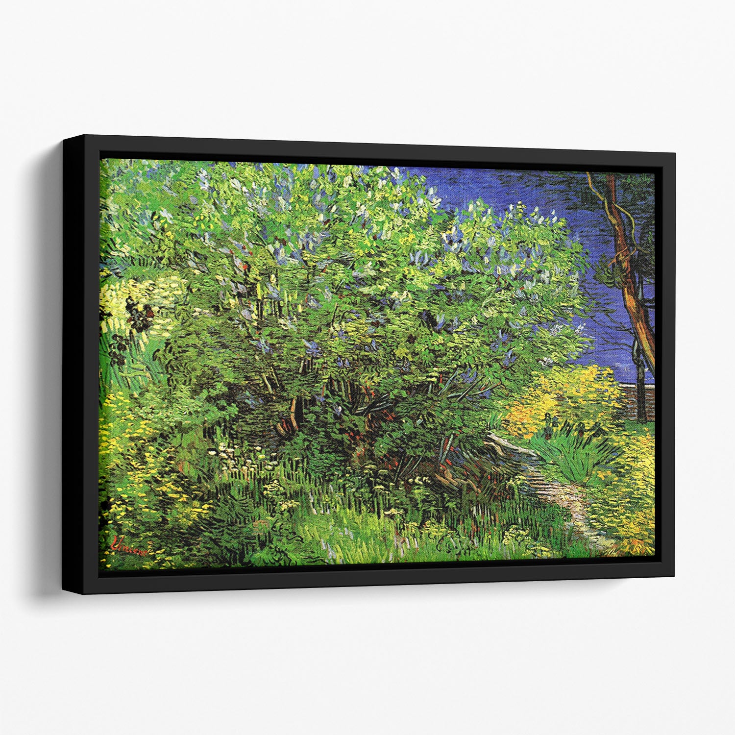 Lilacs by Van Gogh Floating Framed Canvas