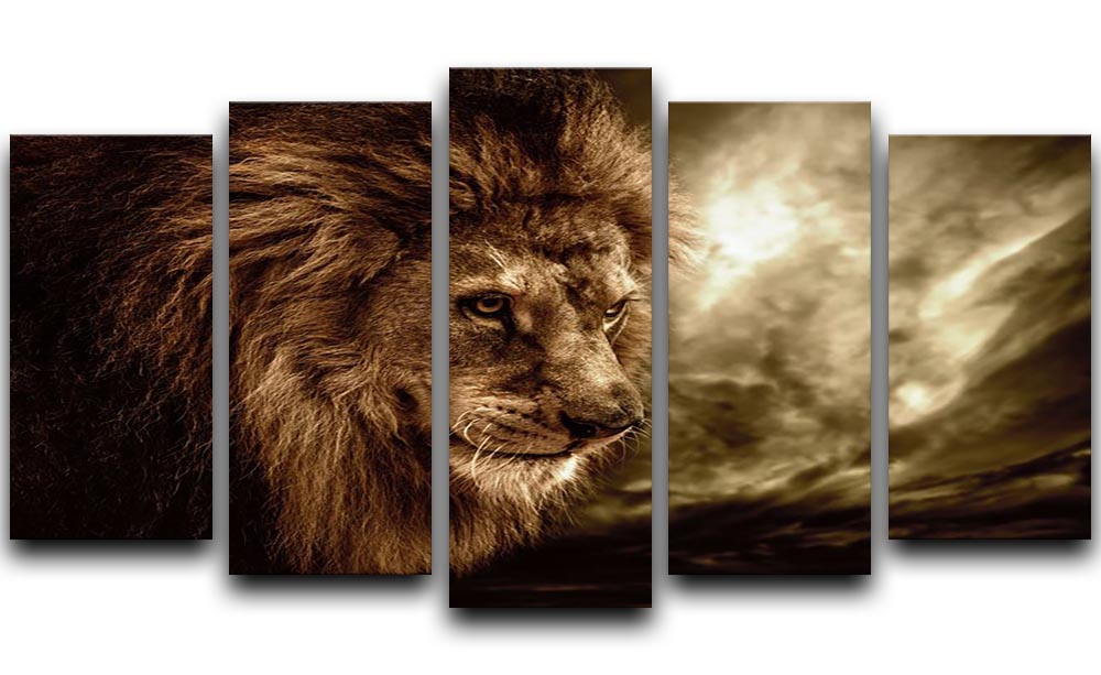 Lion against stormy sky 5 Split Panel Canvas - Canvas Art Rocks - 1