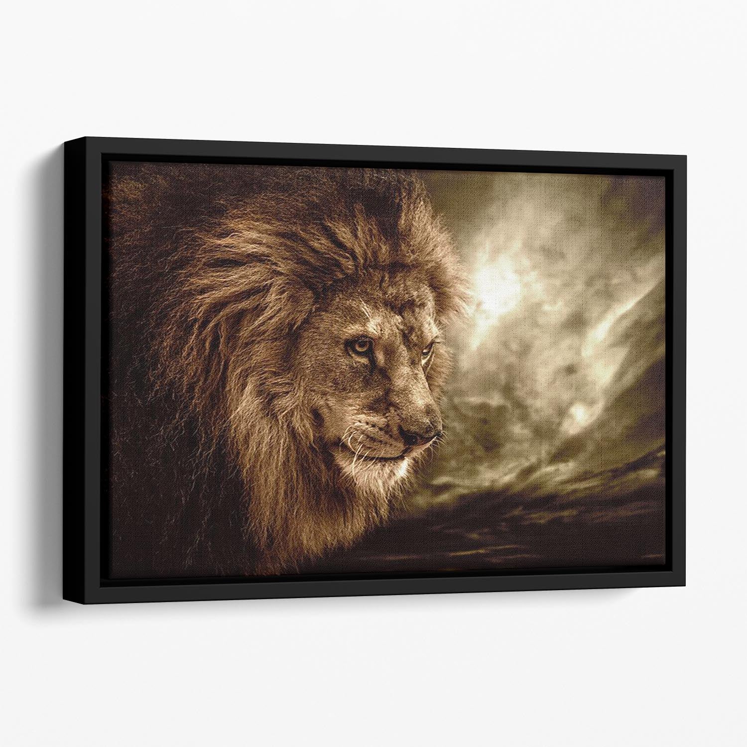 Lion against stormy sky Floating Framed Canvas - Canvas Art Rocks - 1