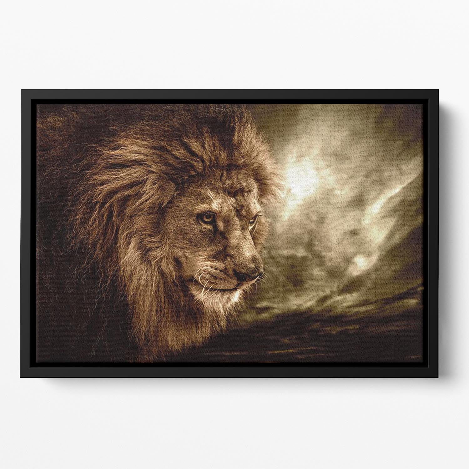 Lion against stormy sky Floating Framed Canvas - Canvas Art Rocks - 2