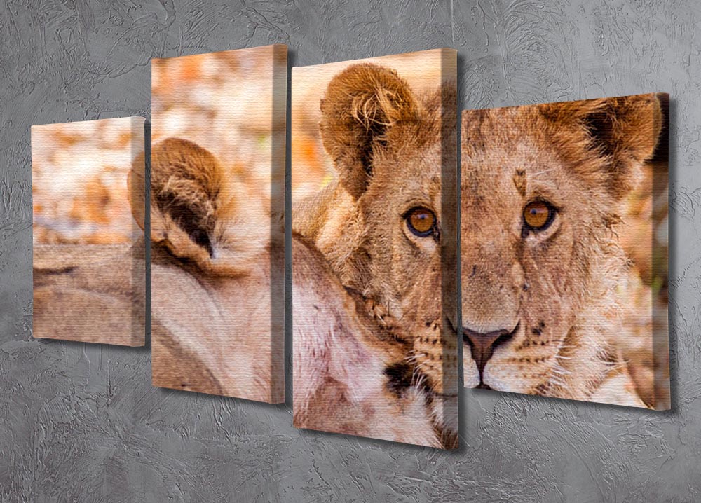 Lion cub and mother 4 Split Panel Canvas - Canvas Art Rocks - 2