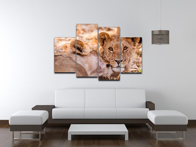 Lion cub and mother 4 Split Panel Canvas - Canvas Art Rocks - 3