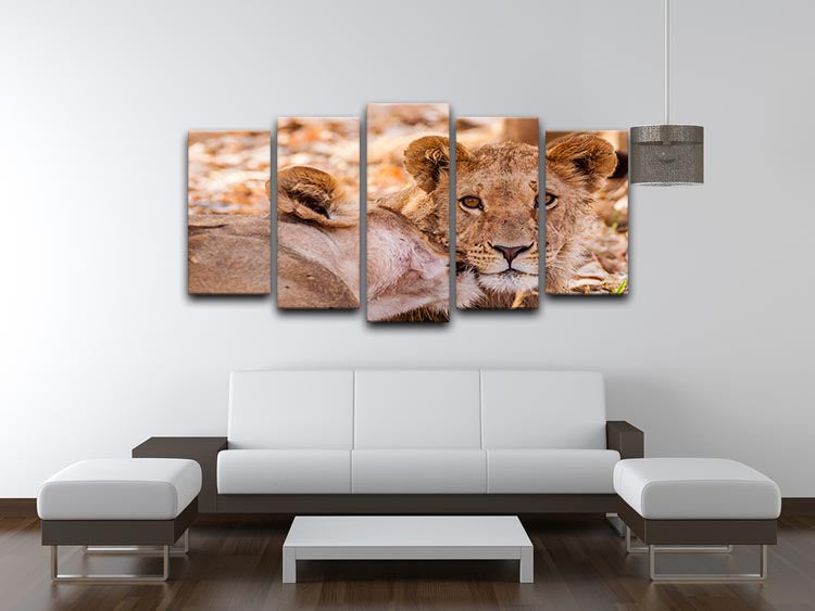Lion cub and mother 5 Split Panel Canvas - Canvas Art Rocks - 3