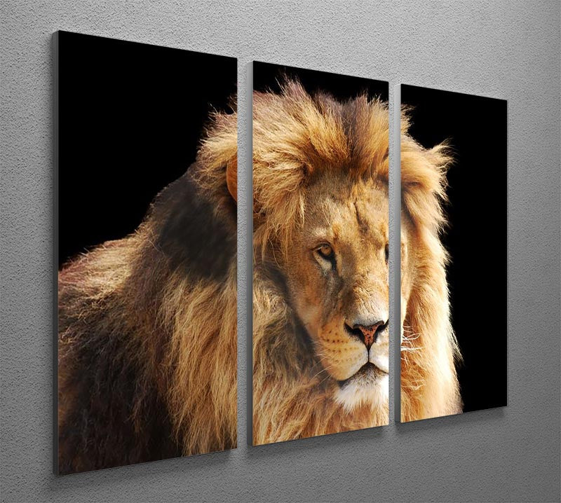 Lion head 3 Split Panel Canvas Print - Canvas Art Rocks - 2