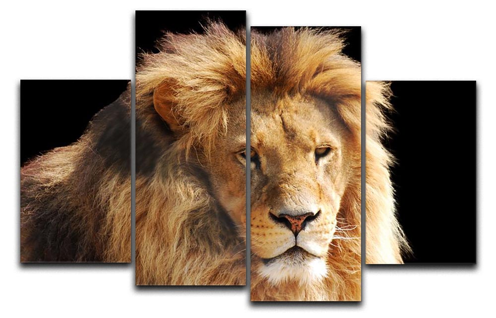 Lion head 4 Split Panel Canvas - Canvas Art Rocks - 1