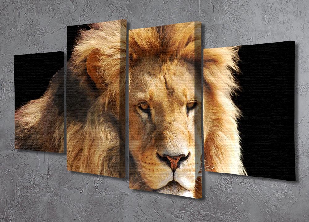 Lion head 4 Split Panel Canvas - Canvas Art Rocks - 2