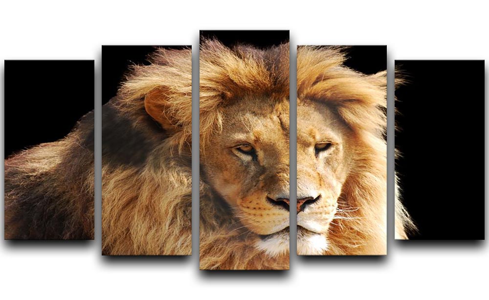 Lion head 5 Split Panel Canvas - Canvas Art Rocks - 1