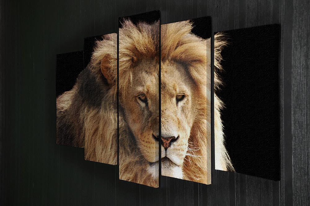 Lion head 5 Split Panel Canvas - Canvas Art Rocks - 2