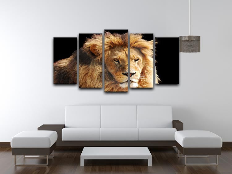 Lion head 5 Split Panel Canvas - Canvas Art Rocks - 3