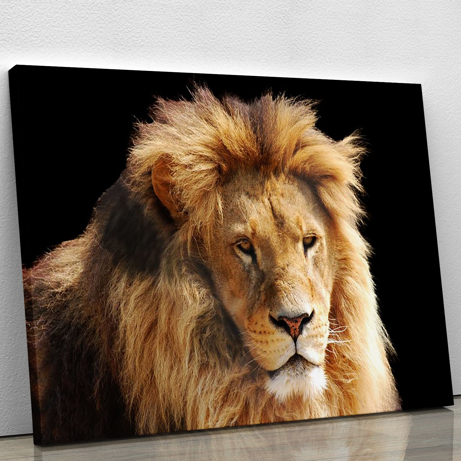 Lion head Canvas Print or Poster - Canvas Art Rocks - 1