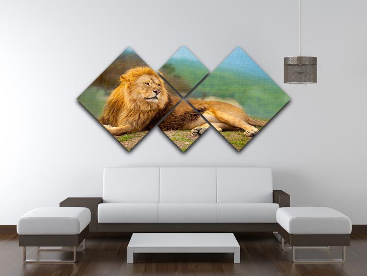 Lion male having a rest 4 Square Multi Panel Canvas - Canvas Art Rocks - 3