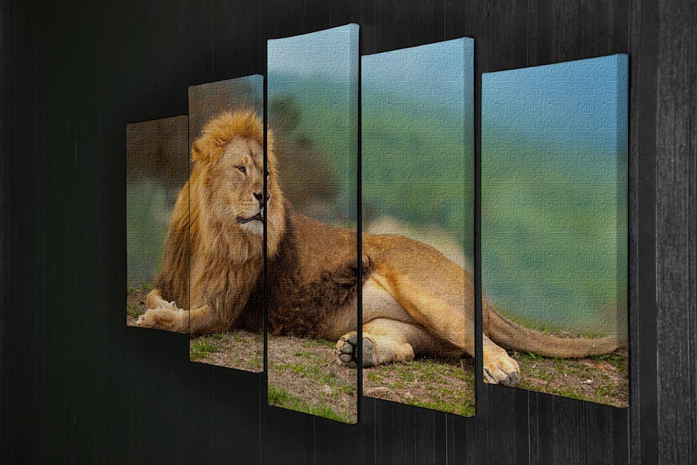 Lion male having a rest 5 Split Panel Canvas - Canvas Art Rocks - 2