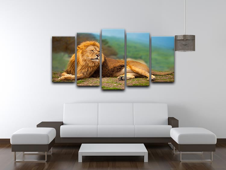 Lion male having a rest 5 Split Panel Canvas - Canvas Art Rocks - 3