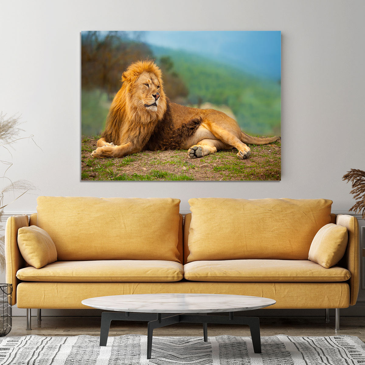 Lion male having a rest Canvas Print or Poster - Canvas Art Rocks - 4