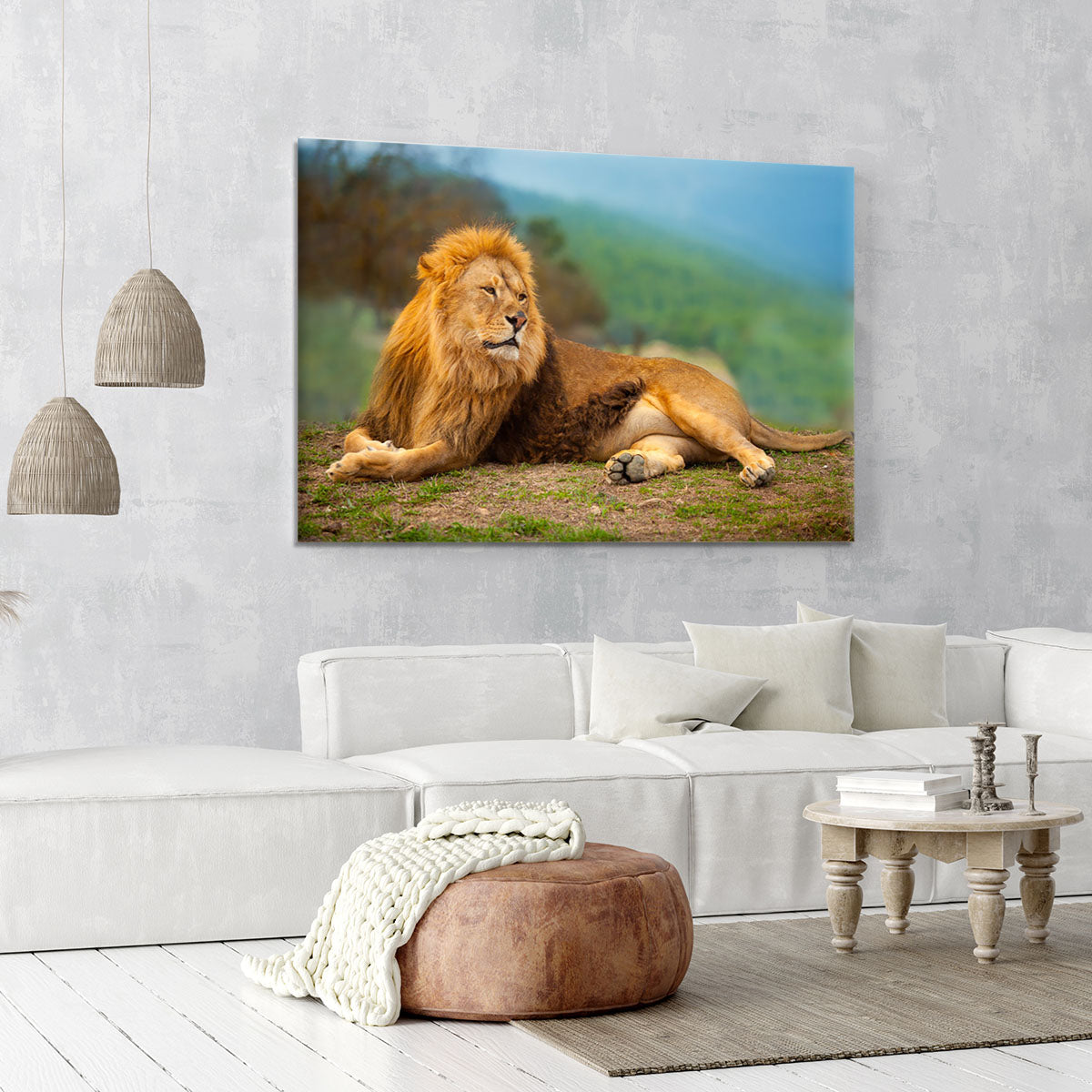 Lion male having a rest Canvas Print or Poster - Canvas Art Rocks - 6