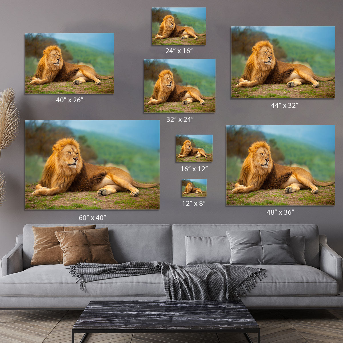 Lion male having a rest Canvas Print or Poster - Canvas Art Rocks - 7