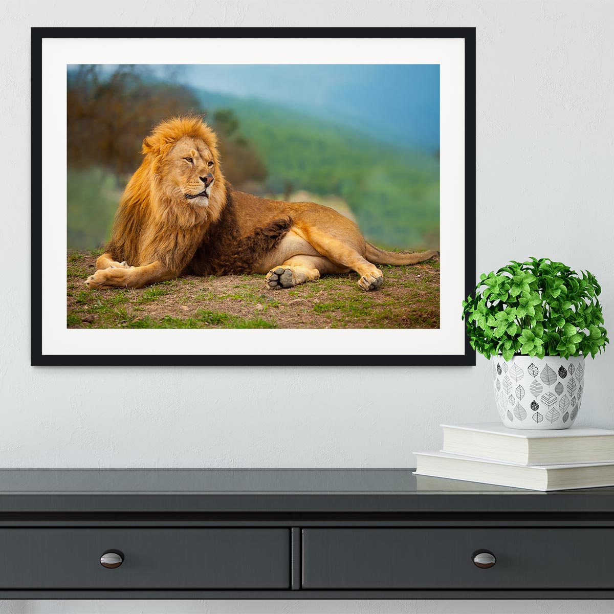 Lion male having a rest Framed Print - Canvas Art Rocks - 1