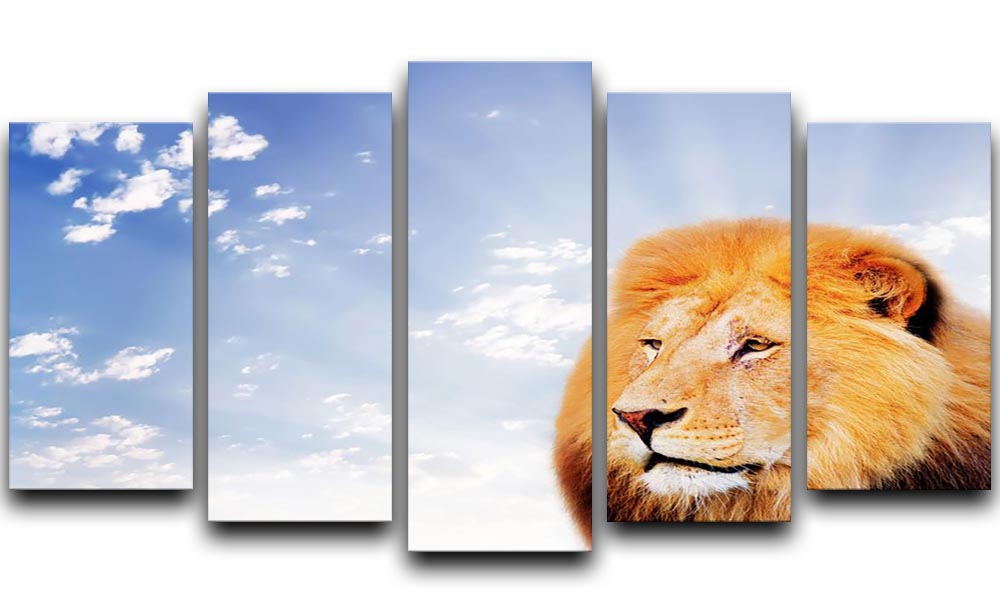 Lion on a sky background 5 Split Panel Canvas - Canvas Art Rocks - 1