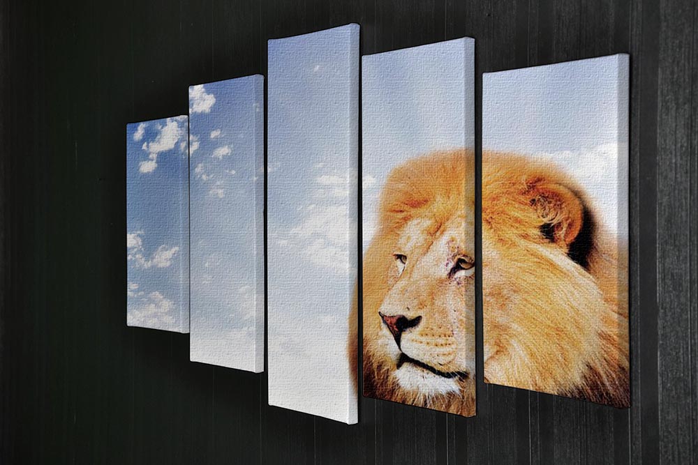 Lion on a sky background 5 Split Panel Canvas - Canvas Art Rocks - 2