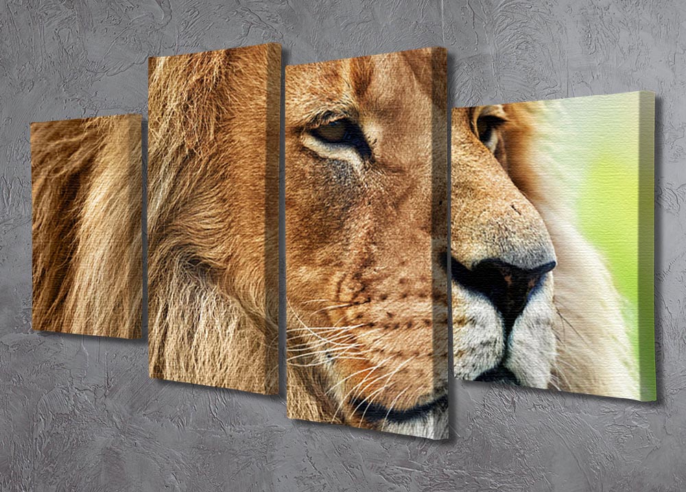 Lion portrait on savanna 4 Split Panel Canvas - Canvas Art Rocks - 2