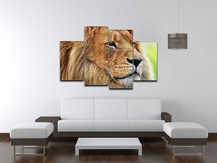 Lion portrait on savanna 4 Split Panel Canvas - Canvas Art Rocks - 3
