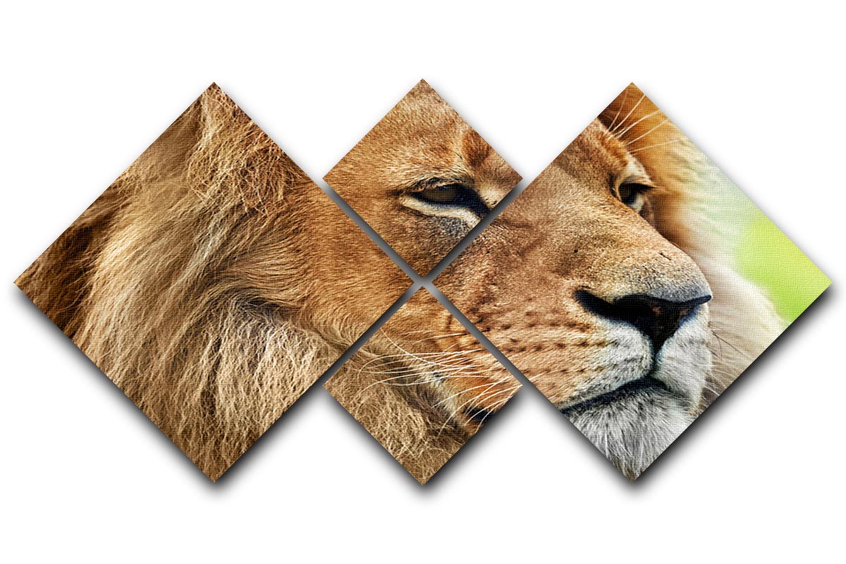 Lion portrait on savanna 4 Square Multi Panel Canvas - Canvas Art Rocks - 1