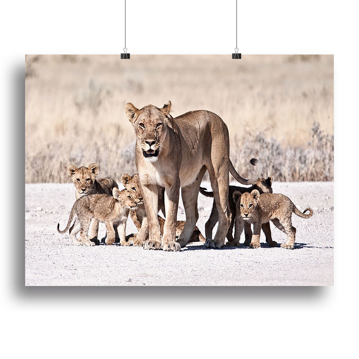 Lioness and cubs Canvas Print or Poster - Canvas Art Rocks - 2
