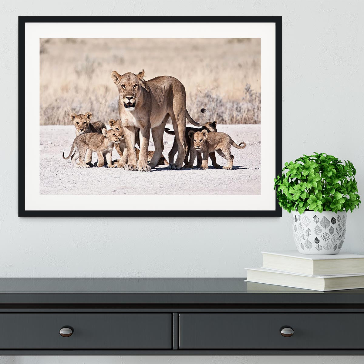 Lioness and cubs Framed Print - Canvas Art Rocks - 1
