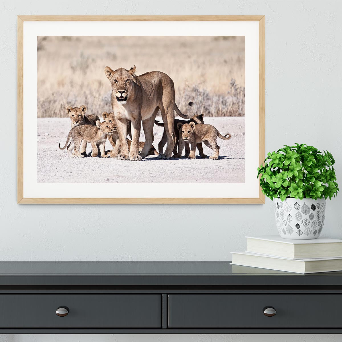 Lioness and cubs Framed Print - Canvas Art Rocks - 3