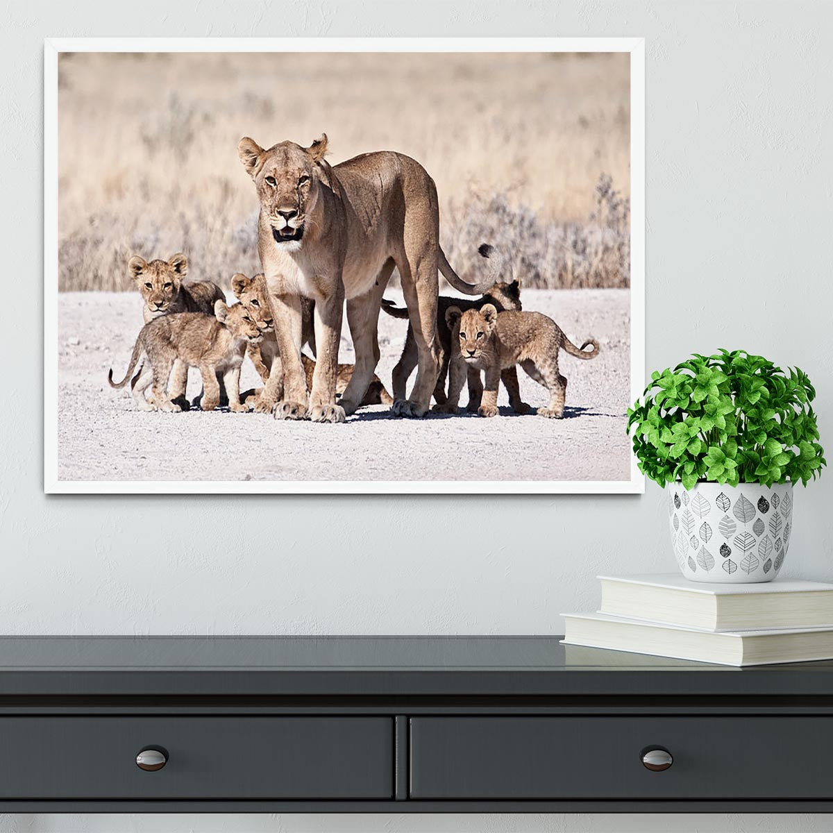 Lioness and cubs Framed Print - Canvas Art Rocks -6