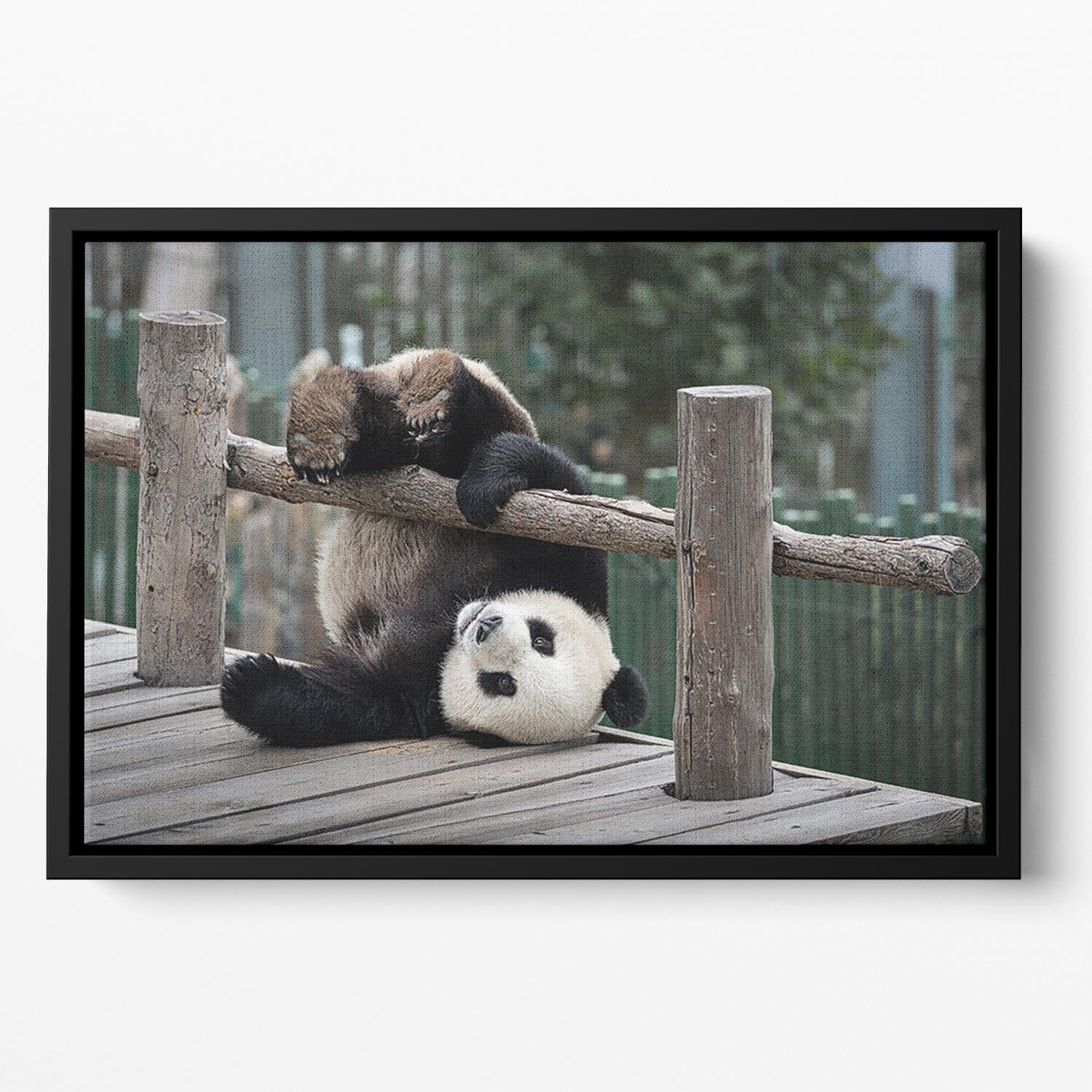 Little Panda Floating Framed Canvas - Canvas Art Rocks - 2