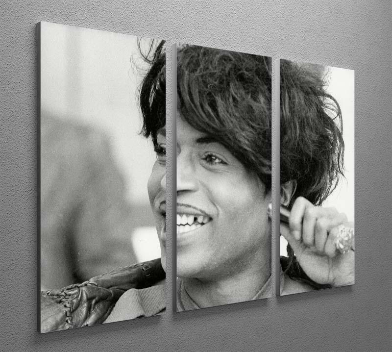 Little Richard smiles 3 Split Panel Canvas Print - Canvas Art Rocks - 2